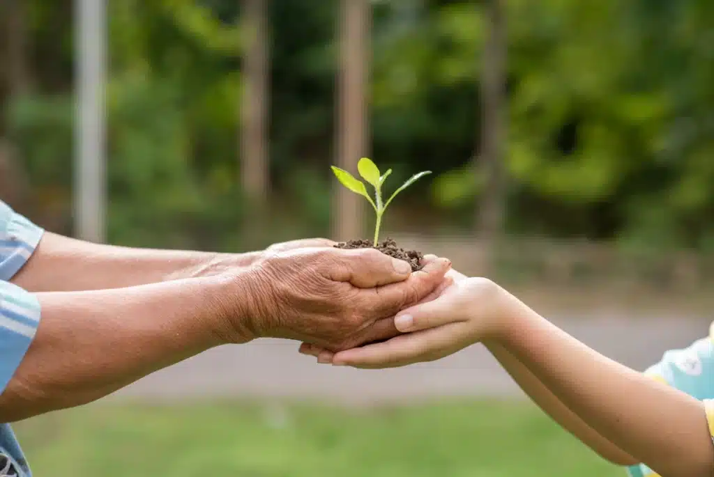 Plantando uma nova árvore - Desenvolvimento sustentável