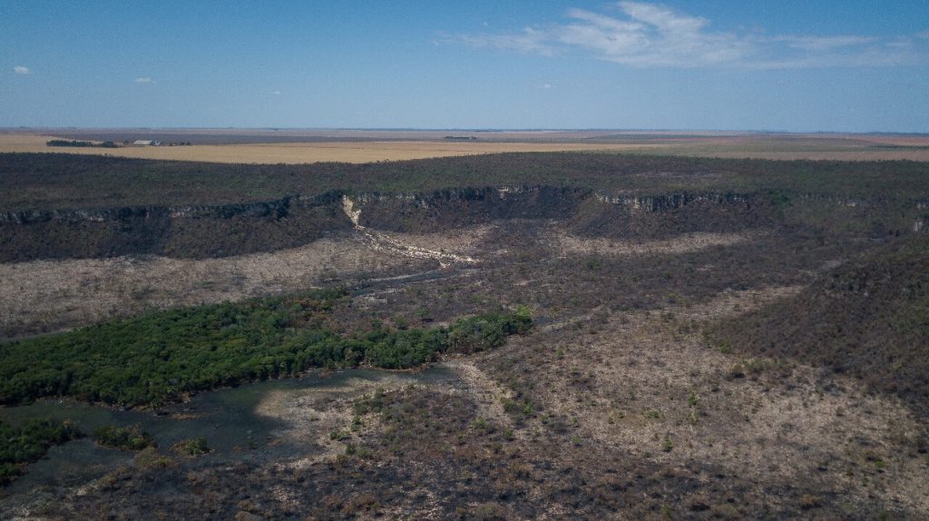 Desmatamento no cerrado - Desmatamento florestas naturais