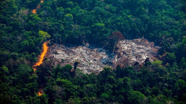 Desmatamento - Desmatamento na Amazônia