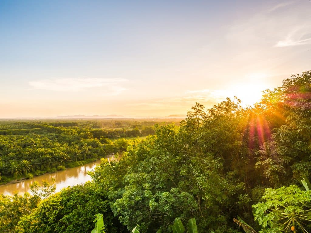 Amazônia - Como preservar a Amazônia