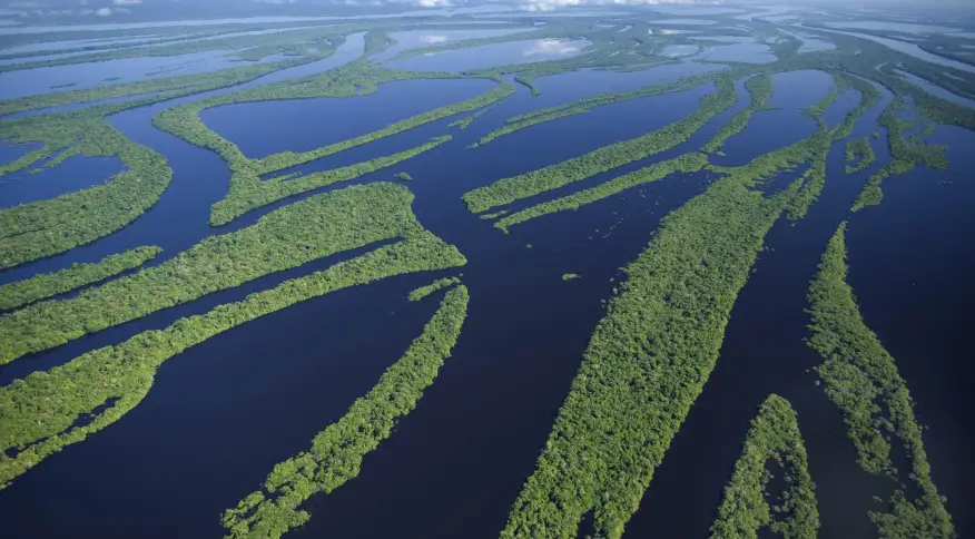 Floresta Amazônica - Como preservar a Amazônia