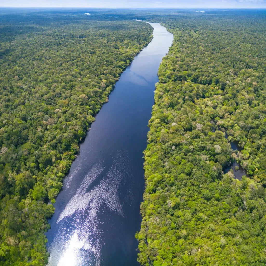 A Amazônia é considerada o maior bioma do mundo - Produtos amazônicos