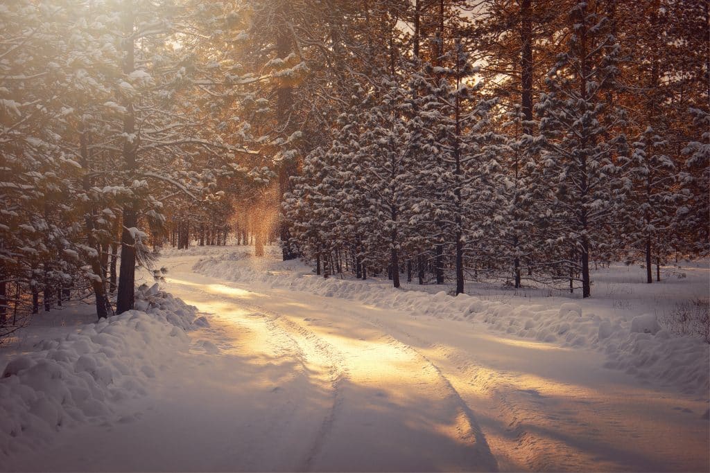 O inverno é a época mais fria do ano - Curiosidades sobre o inverno no Brasil