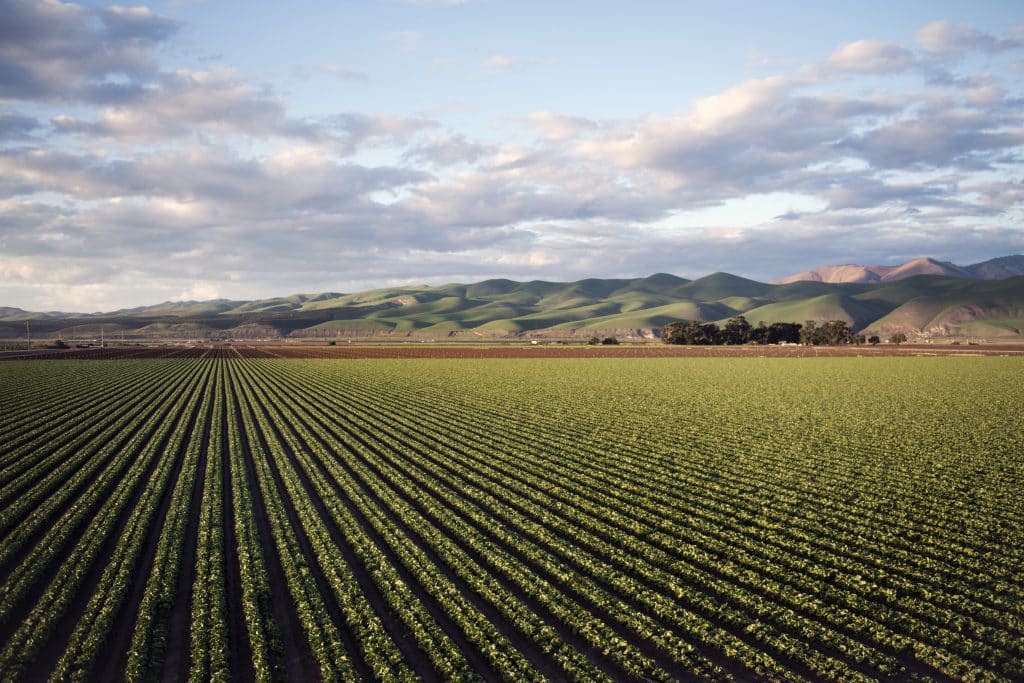 Campo agrícola - O que é o agronegócio no Brasil