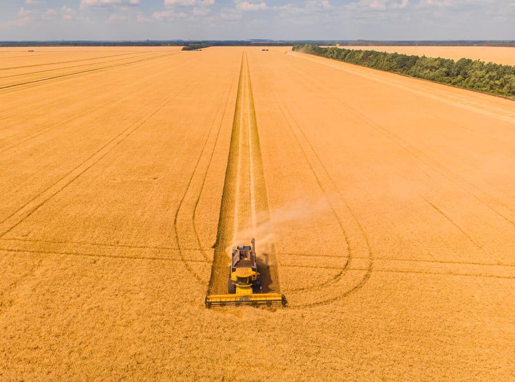 Colheita no campo - O que é o agronegócio no Brasil