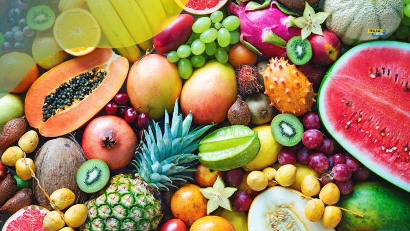 Cardápio alimentação low carb Cardápio alimentação low carb
