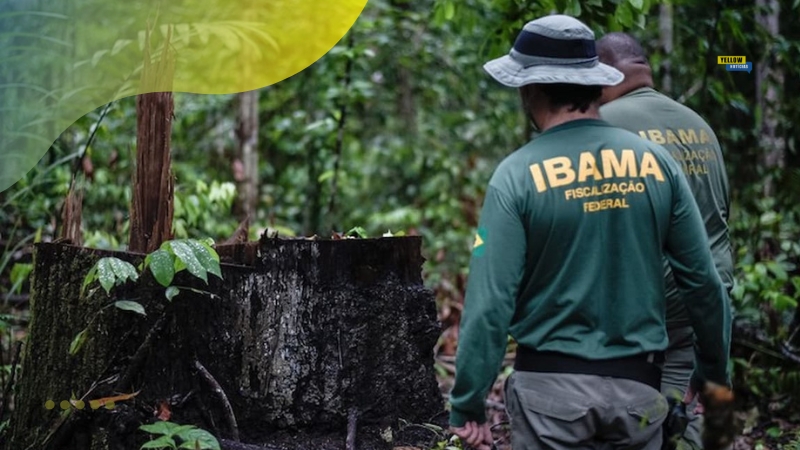 Edital Processo Seletivo IBAMA 2025 Edital Processo Seletivo IBAMA 2025