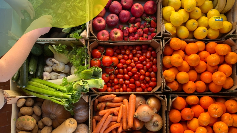 alimentos que protegem o corpo de infecções alimentos que protegem o corpo de infecções