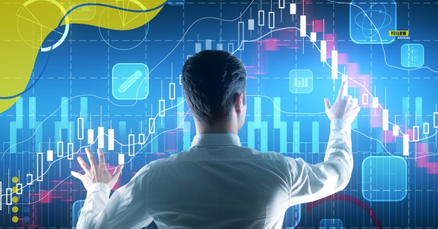 Dicas de investimentos para iniciantes