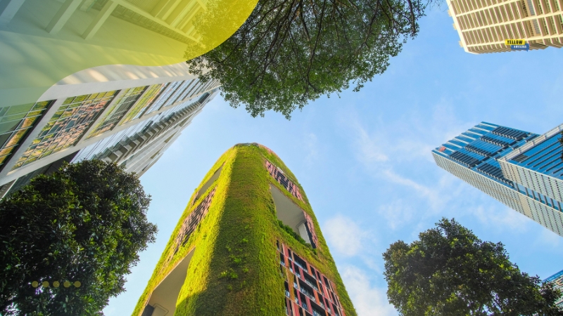 Ciência do meio ambiente e sustentabilidade atualmente Ciência do meio ambiente e sustentabilidade atualmente