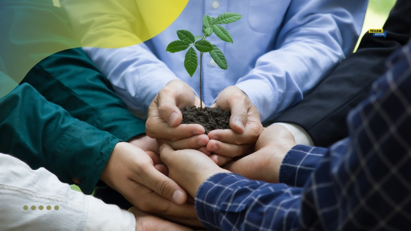 Práticas sustentáveis e ciência ambiental hoje Práticas sustentáveis e ciência ambiental hoje
