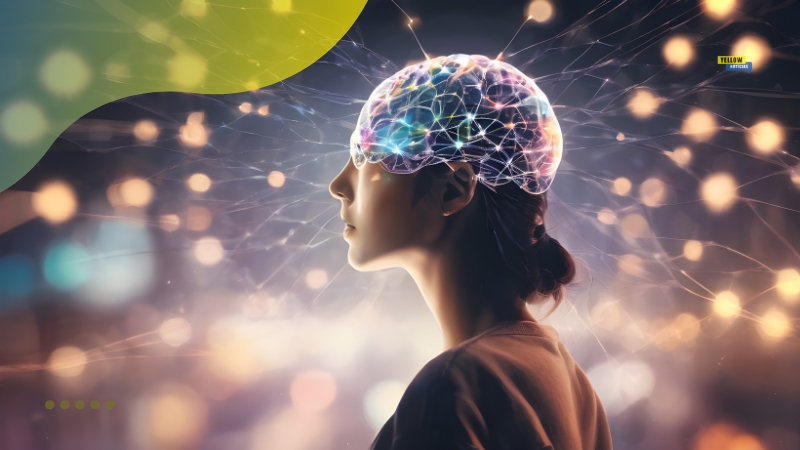 Como atua o cérebro das pessoas