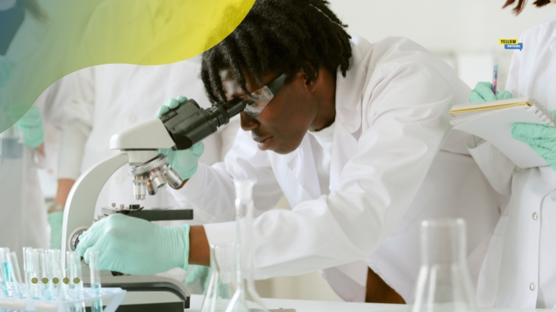 Conceito de método científico Conceito de método científico