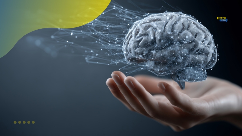 Funcionamento do cérebro humano