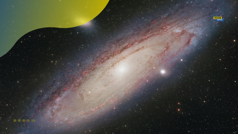 Novas conquistas da ciência