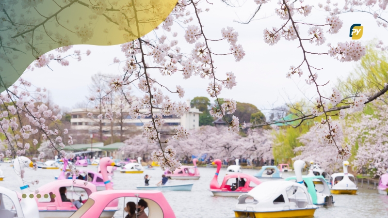 Fatos curiosos culturais do Japão