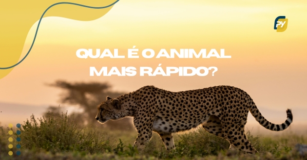 qual e o animal mais rapido