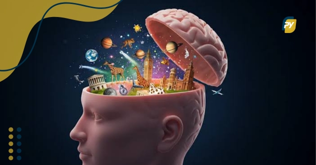 Curiosidades interessantes do cotidiano